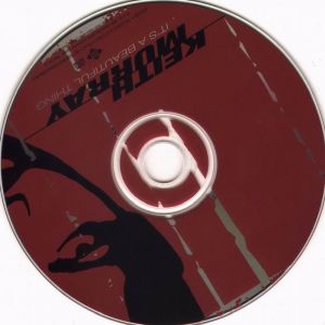 Keith_Murray_-_Its_A_Beautiful_Thing-cd.jpg