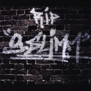 r-i-p-g-slimm-600-597-0.jpg