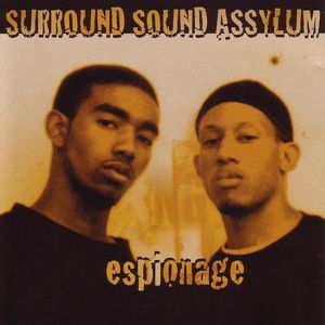 Surround sound assylum espionage AZ front.jpg