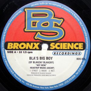 blahzay-blahzay-presents-blas-big-boy-not-now-dat-shit-600-600-1.jpg