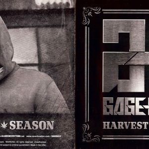harvest-season-30654-600-300-1.jpg