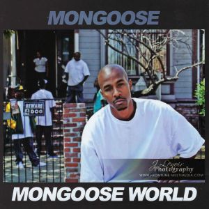 mongoose-world-600-607-1.jpg