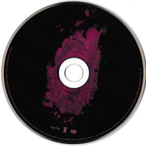the-pinkprint-600-589-2.jpg