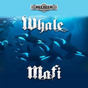 whale-mafi-600-602-1.jpg