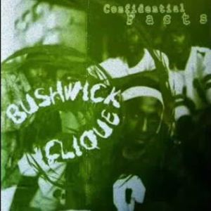 Bushwick Clique confidential facts NYC front.jpg