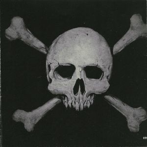 skull-bones-600-471-11.jpg