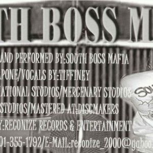 south-boss-mafia-600-304-2.jpg