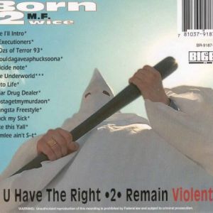 u-have-the-right-2-remain-violent-600-458-1.jpg