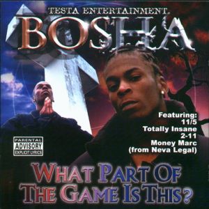 Bosha - What Part Of The Game Is This (front).JPG