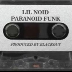 paranoid-funk-484-298-0.jpg