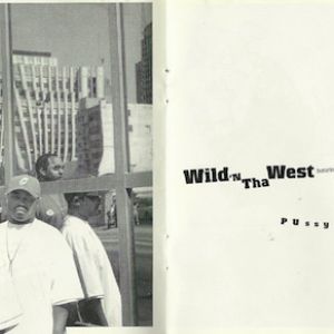 wild-n-tha-west-600-291-3.jpg