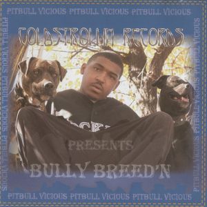 bully-breedn-600-589-0.jpg