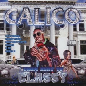 Calico from ashy to classy KC front.jpg