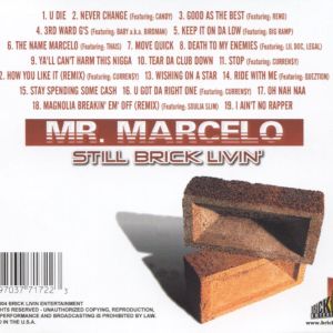 mr. marcelo - still brick livin (back).jpg