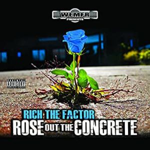 rose-out-the-concrete-342-342-0.jpg