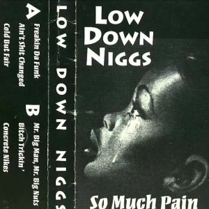 Low Down Niggs So Much Pain Chicago, IL tape.jpg