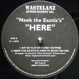 neek-the-exotics-here-600-606-1.jpg