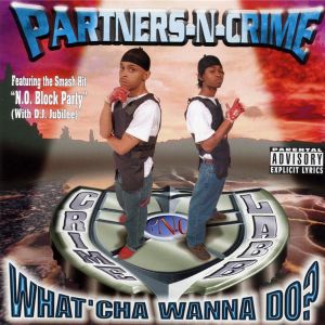 partners-n-crime - what cha wanna do (front).jpg