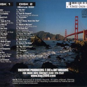 bay_area_playaz_2-raining_ice_in_the_bay-image-back_cover.jpg