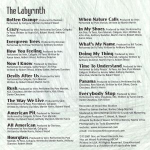 the-labyrinth-585-600-1.jpg