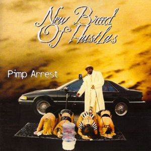 pimp-arrest-400-404-0.jpg