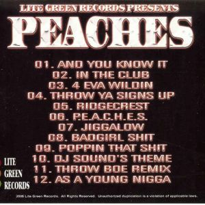 lite-green-records-presents-peaches-600-460-3.jpg