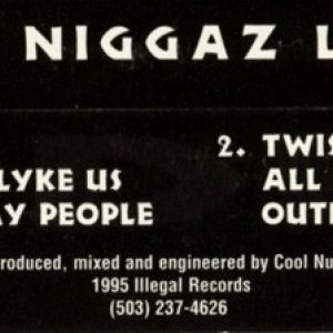 niggaz-lyke-me-600-224-1.jpg