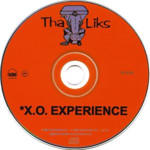 x-o-experience-600-597-2.jpg