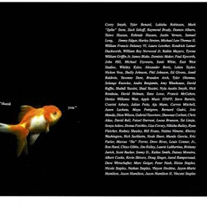 big-fish-theory-600-450-9.jpg