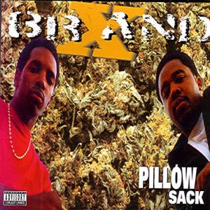 pillow-sack-500-500-0.jpg