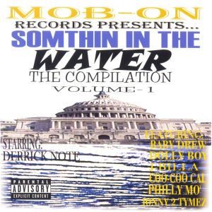 presents-somthin-in-the-water-the-compilation-volume-1-600-600-0.jpg