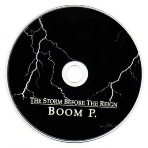 the-storm-before-the-reign-499-489-5.jpg