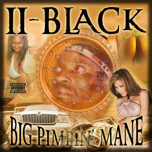 big-pimpin-mane-600-600-0.jpg